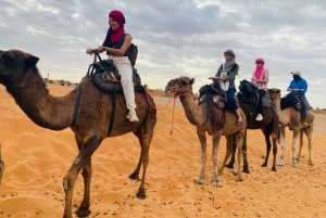 Excursión de un día a Essaouira