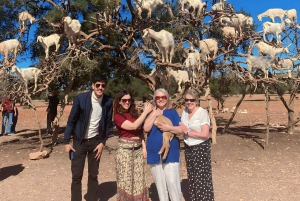 Excursión de un día a Essaouira