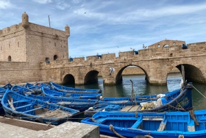 Excursión de un día a Essaouira