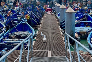 Excursión de un día a Essaouira