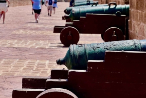 Excursión de un día a Essaouira