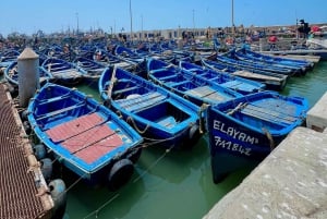Excursión de un día a Essaouira