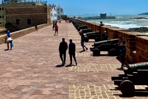 Excursión de un día a Essaouira