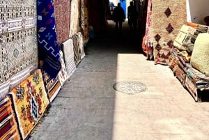 Excursión de un día a Essaouira