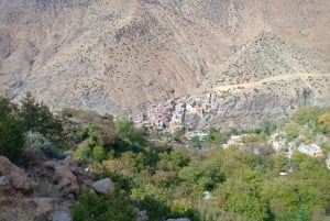 Day trip to Ourika Valley ,Atlas Mountains & Berber village