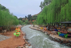 Day trip to Ourika valley & Atlas Mountains