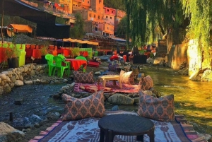 Day trip to Ourika valley & Atlas Mountains