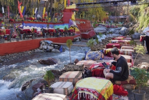 Dagstur til Ourika-dalen med fossefall og lunsj