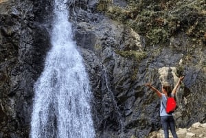 Dagstur til Ourika-dalen med fossefall og lunsj