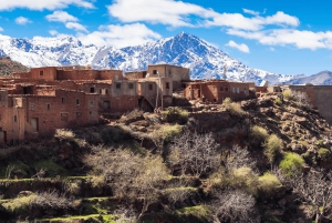 Dagstur til Ourika-dalen med fossefall og lunsj