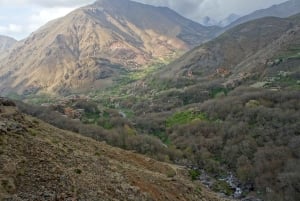 Dagstur til Atlasfjellene, tre daler og kamelridning