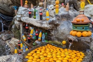 Dagstur til Atlasfjellene, tre daler og kamelridning