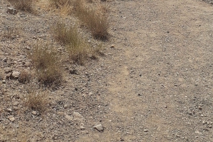 4 päivän luksusretki aavikolle Marrakechista Merzougaan