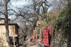 4 päivän luksusretki aavikolle Marrakechista Merzougaan