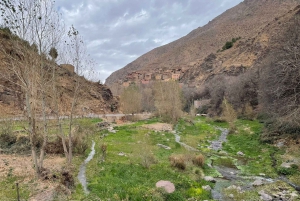 4 päivän luksusretki aavikolle Marrakechista Merzougaan