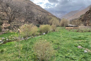 4 päivän luksusretki aavikolle Marrakechista Merzougaan