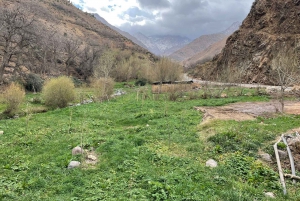 4 päivän luksusretki aavikolle Marrakechista Merzougaan