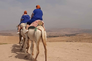 Dîner dans le désert d'Agafay au camp de nomades et balade à dos de chameau
