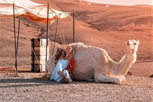Agafay-middag i ørkenen på Nomad Camp og kamelridning