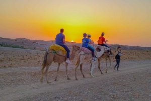 Agafay-öknen: marockansk middagsshow och kamelridning