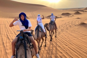 Deserto e Atlante: Viaggio privato di 4 giorni in Marocco