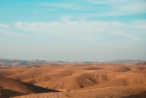 Dagsudflugt til Essaouira fra Marrakech med guide