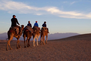 Dagsudflugt til Essaouira fra Marrakech med guide