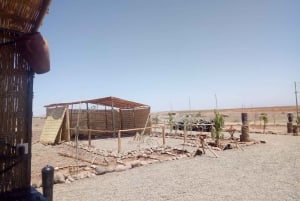 Desierto del palmeral de Marrakech: Descubre en Quad