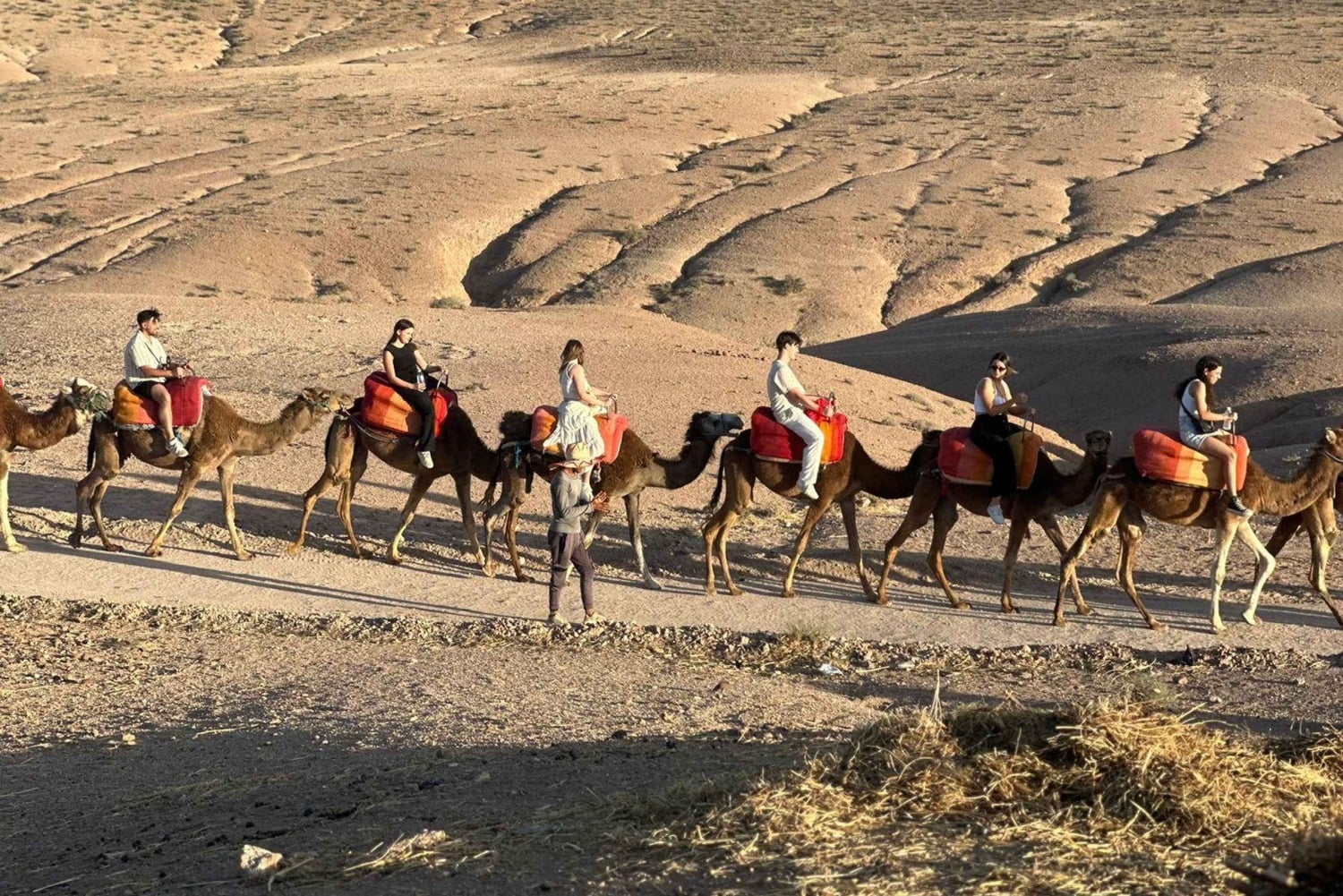 Paseo en camello al atardecer con cena y espectáculo (grupo pequeño)