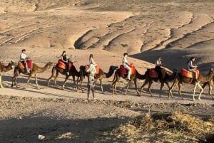 Paseo en camello al atardecer con cena y espectáculo (grupo pequeño)