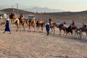 Paseo en camello al atardecer con cena y espectáculo (grupo pequeño)
