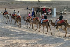 Paseo en camello al atardecer con cena y espectáculo (grupo pequeño)