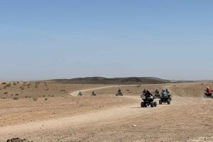 Paseo en camello al atardecer con cena y espectáculo (grupo pequeño)