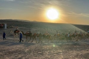 Paseo en camello al atardecer con cena y espectáculo (grupo pequeño)