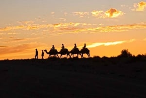 Marrakech: Agafay Desert Camel Ride, Dinner, Pool & Quad