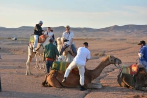 Desert tour dinner show & camel ride with sunset views