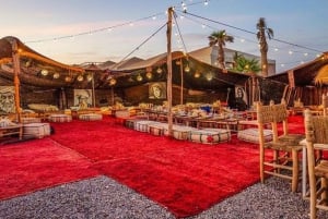 Desert tour dinner show & camel ride with sunset views