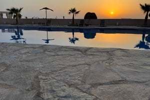 Desert tour dinner show & camel ride with sunset views