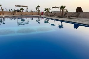 Desert tour dinner show & camel ride with sunset views