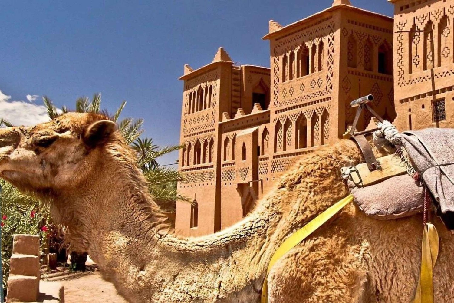 Viagem ao Deserto Encantador 3 dias de Marrakech a Fez