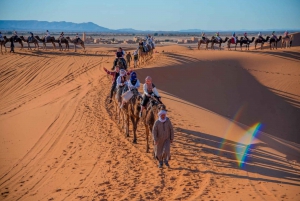 De Marraquexe: Excursão épica de 3 dias pelo deserto do Saara até Fez