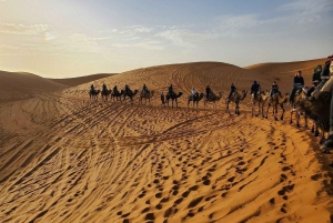 De Marraquexe: Excursão épica de 3 dias pelo deserto do Saara até Fez