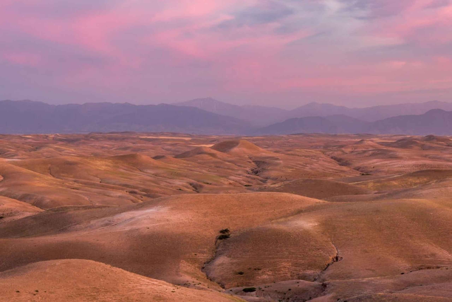 アガファイ砂漠のベルベルキャンプで夕日とショーを眺めながらディナー