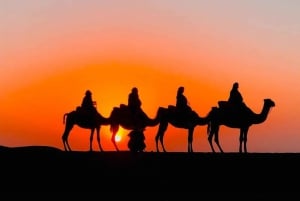 Jantar no deserto de Agafay saindo de Marrakech e passeio de camelo