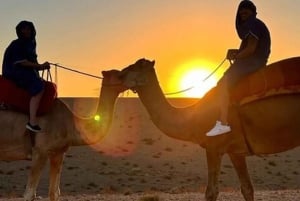 DINNER IN AGAFAY DESERT UNDER THE STARS WITH SHOW AND CAMELS