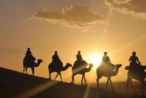 DINNER IN AGAFAY DESERT UNDER THE STARS WITH SHOW AND CAMELS