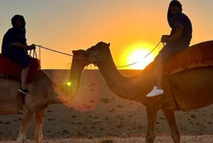 MIDDAG I AGAFAY-ÖKNEN UNDER STJÄRNORNA MED SHOW OCH KAMELER