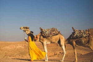 Marrakech: Deserto de Agafay, passeio de camelo e jantar berbere