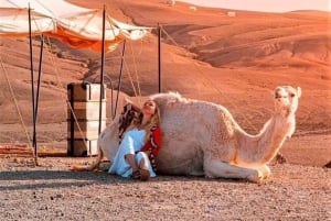 Marrakech: Woestijn Quad met diner, show en live muziek