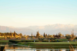 Dîner dans le ciel de Marrakech